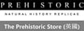 The Prehistoric Store